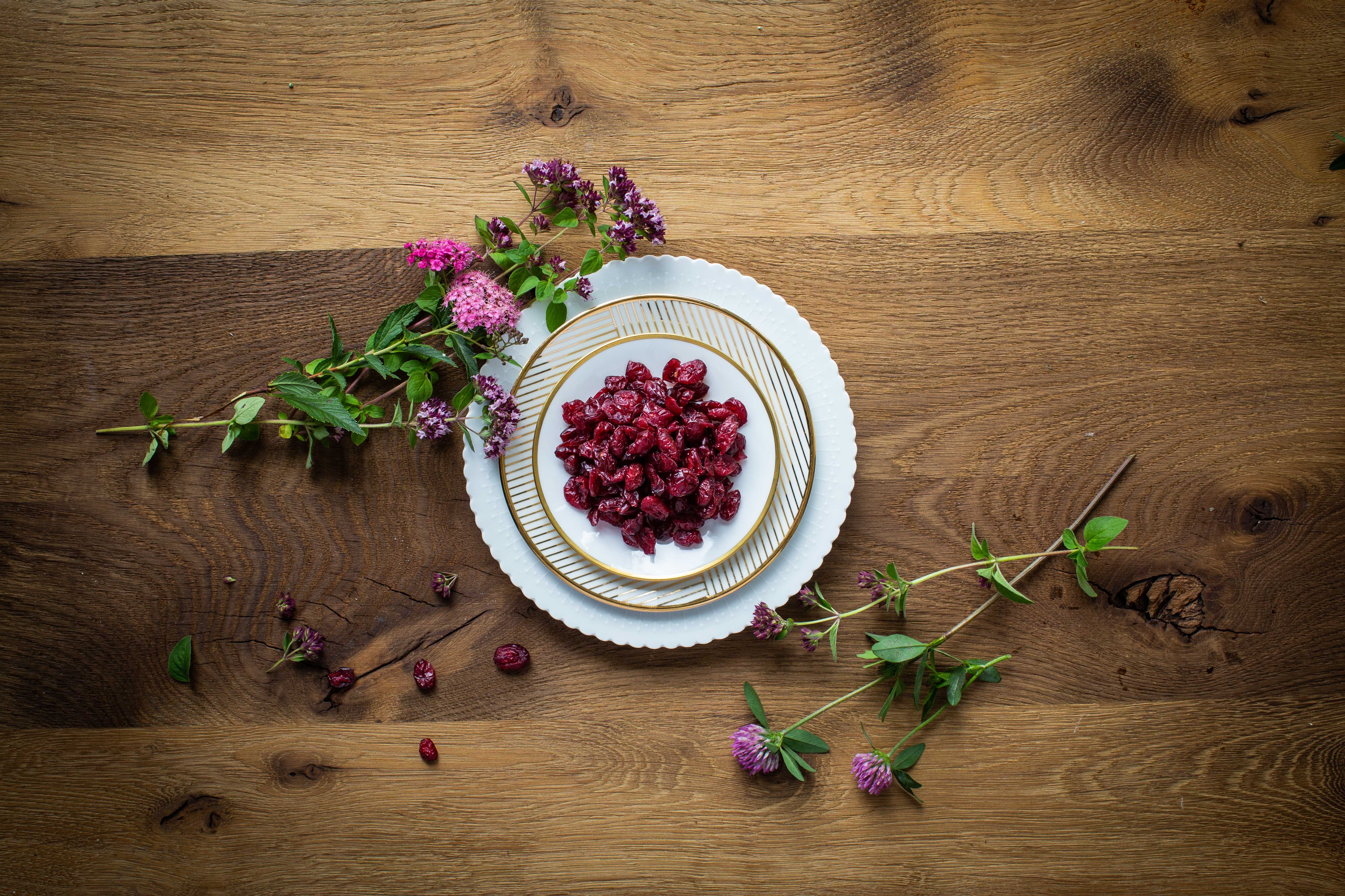 Getrocknete Cranberries Moodbild