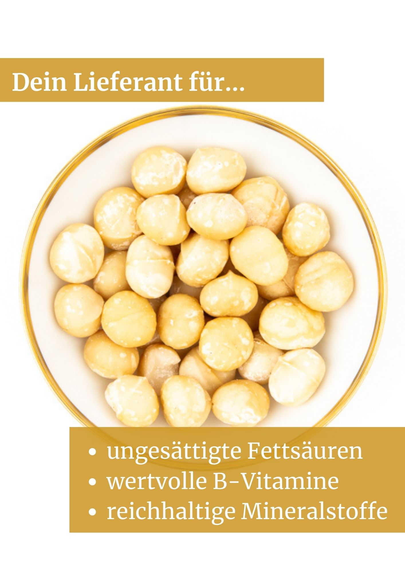 Macadamia Nährwerte