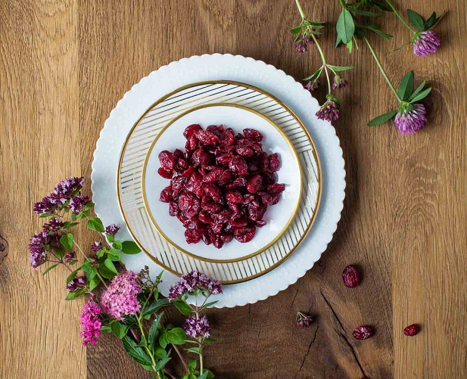 cranberries-anansaftkonzentrat-moodbild cranberries-anansaftkonzentrat-moodbild